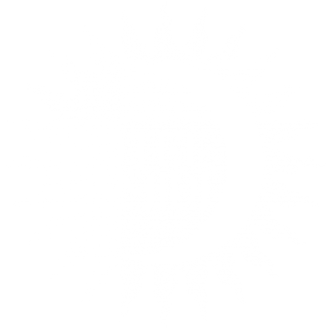 logo soleil blanc hôtel du Midi Palavas